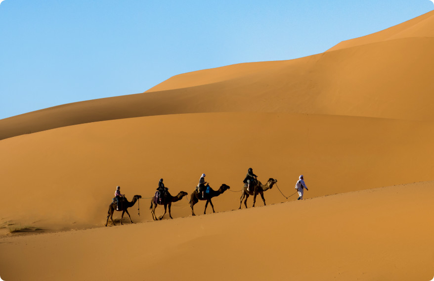 华体会在线登陆